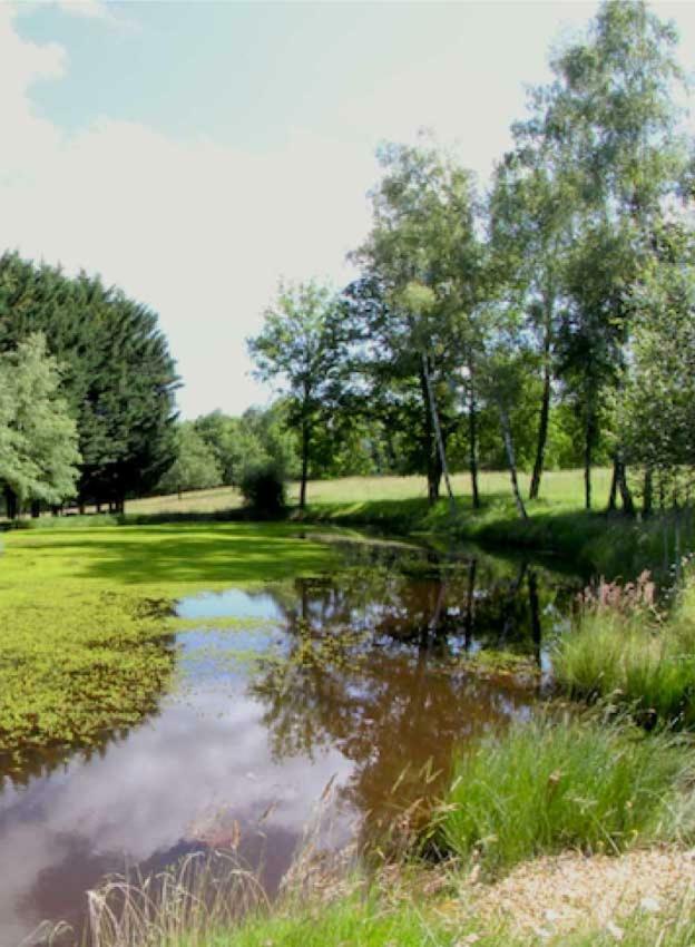 Domaine Des Grandes Landes Villa Saint-Paul-la-Roche Kültér fotó